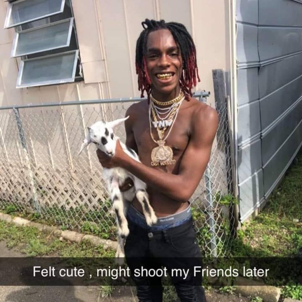 Meet your Posher, Angelo